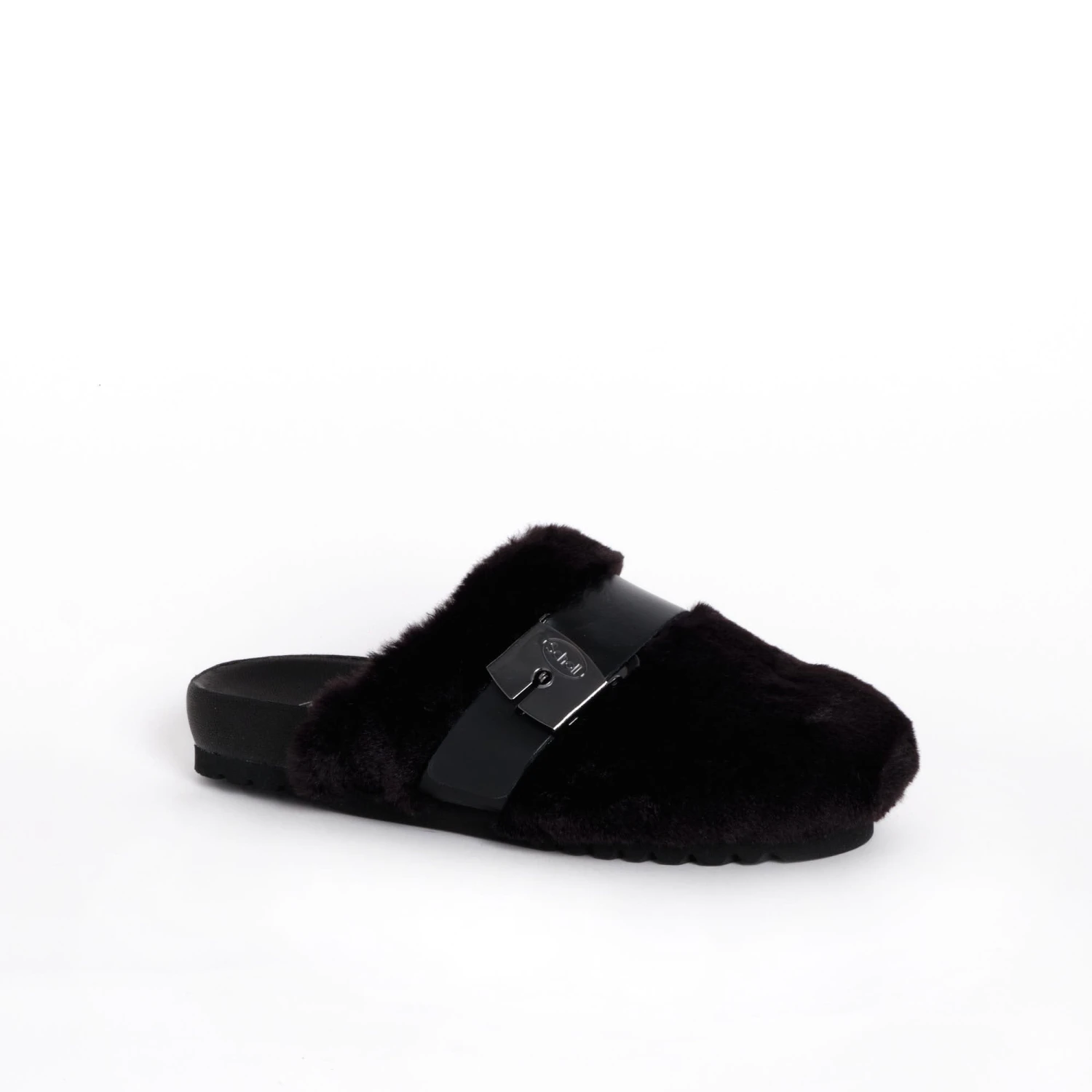 ALBERTA - immagine 3