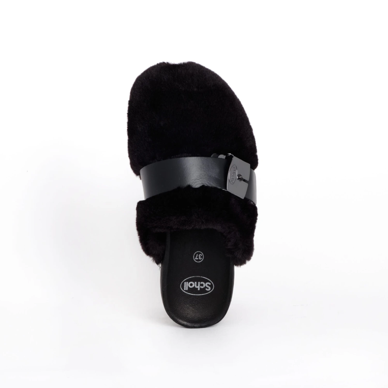 ALBERTA - immagine 4