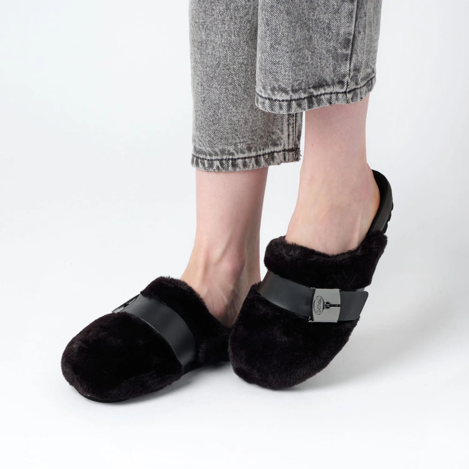 ALBERTA - immagine 2