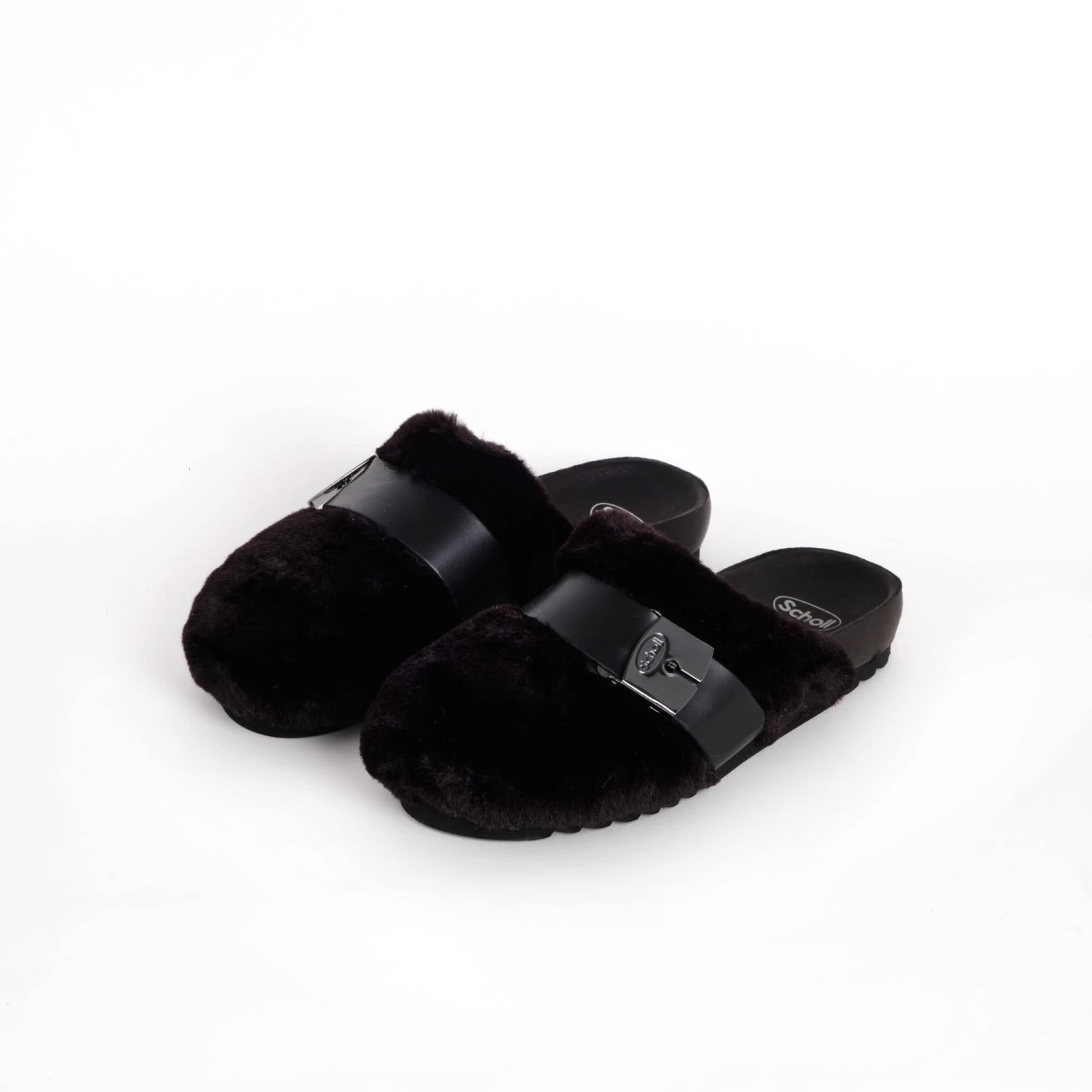 ALBERTA - immagine 6