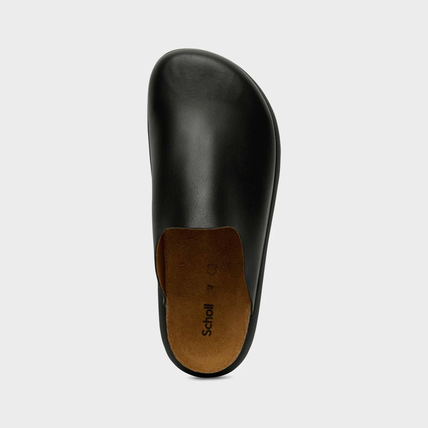 Kyle 2.0 - immagine 3